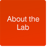 About the Lab